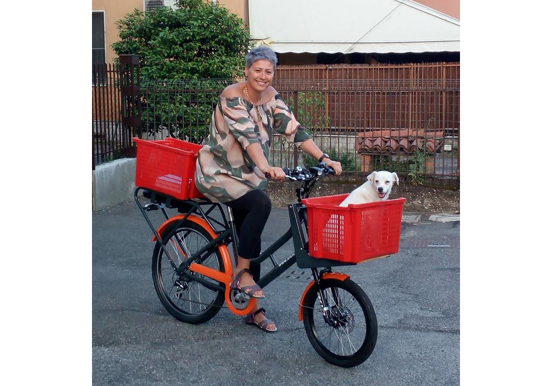 Nena  Pavia - cargo bike Postina per uso privato